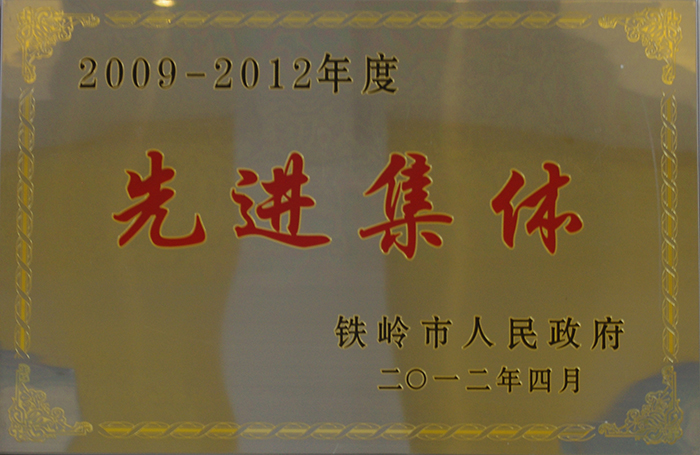 先進集體